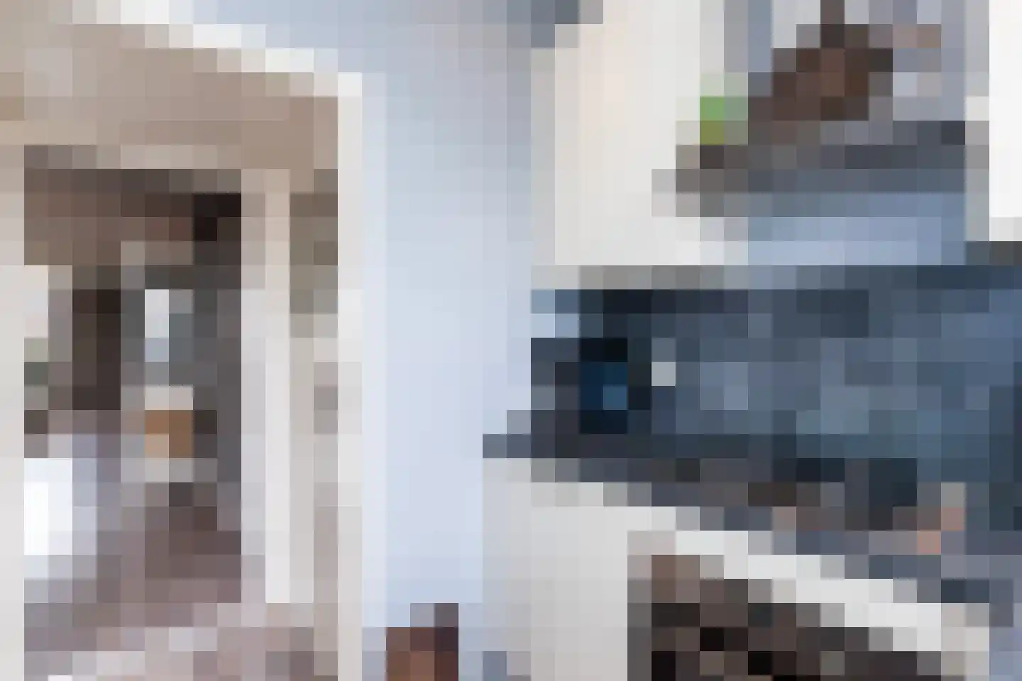 Mr. Troelstrastraat 6 Vlaardingen thumbnail 22