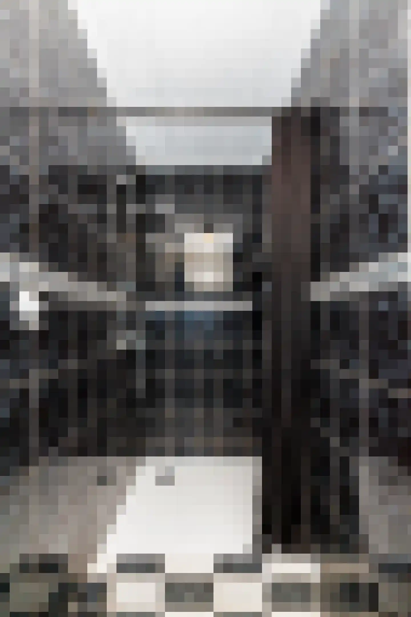 Mr. Troelstrastraat 6 Vlaardingen thumbnail 33