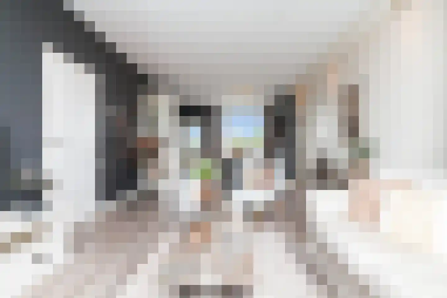 Mr. Troelstrastraat 6 Vlaardingen thumbnail 5