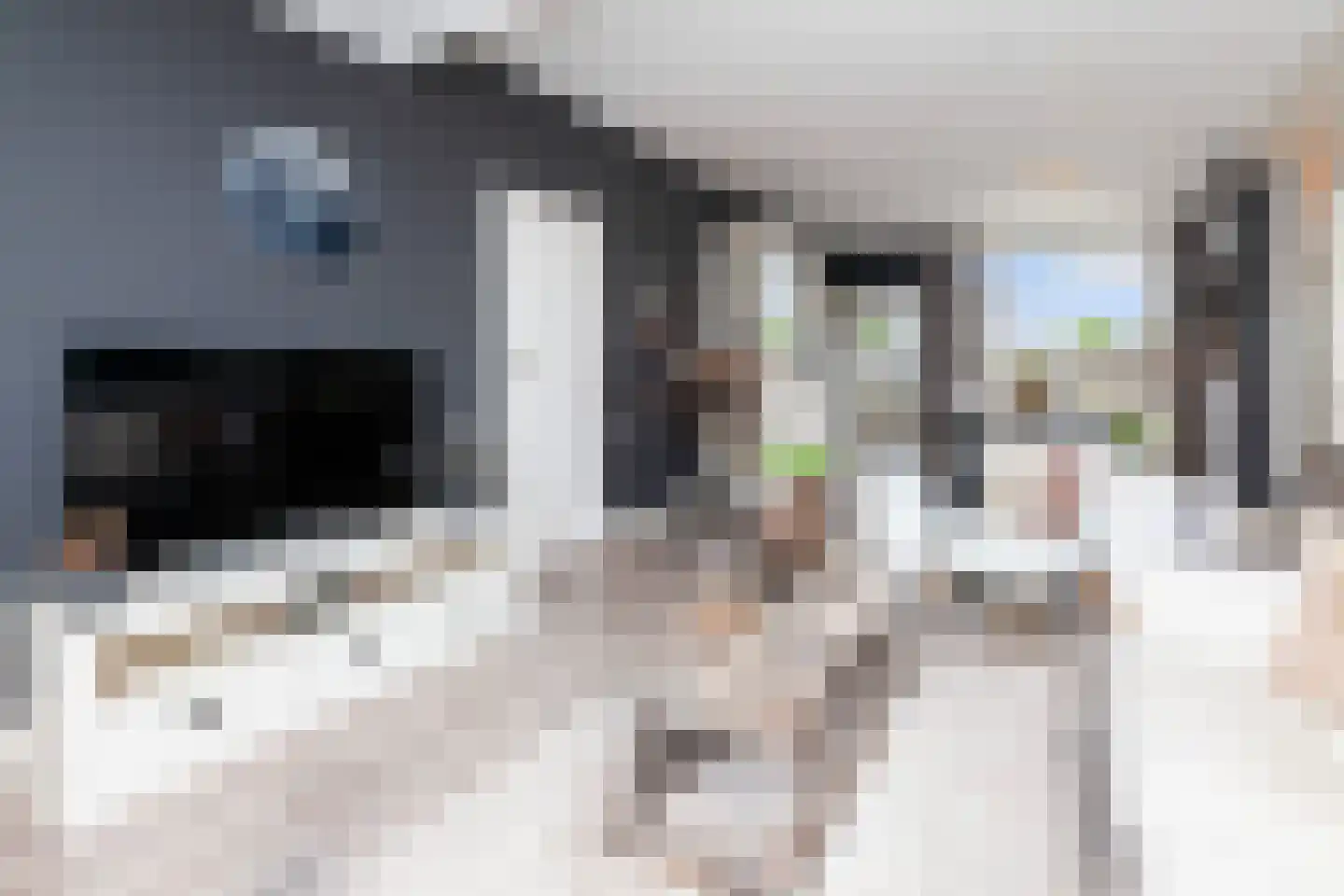 Mr. Troelstrastraat 6 Vlaardingen thumbnail 7
