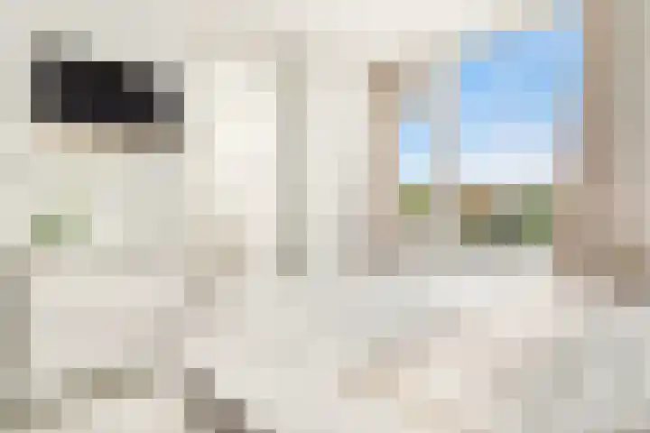 Mr Troelstrastraat 62 F 22 Zandvoort thumbnail 26