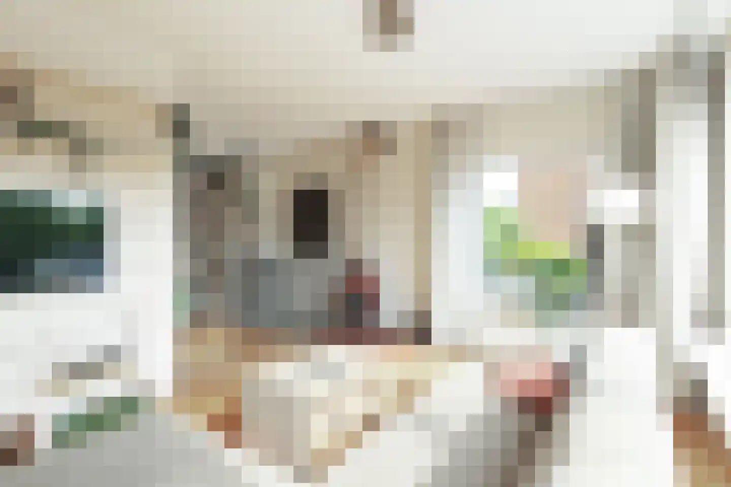 Mr. Troelstrastraat 69 Ridderkerk thumbnail 14