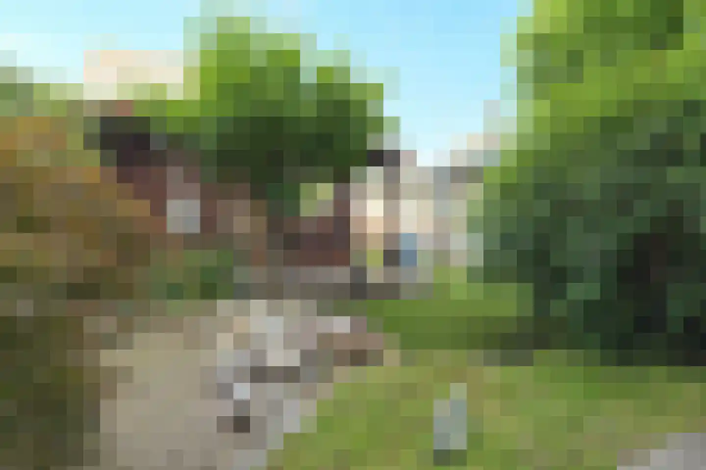 Mr. Troelstrastraat 69 Ridderkerk thumbnail 35