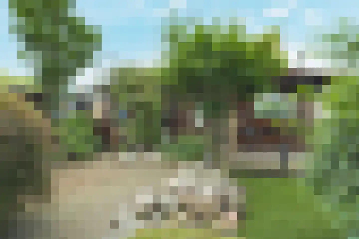 Mr. Troelstrastraat 69 Ridderkerk thumbnail 36
