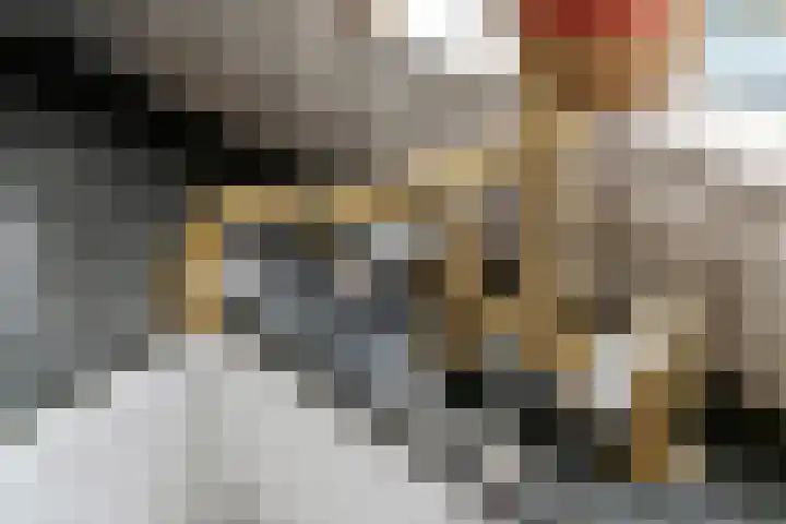 Mr. Tydemanstraat 12 Tiel thumbnail 17