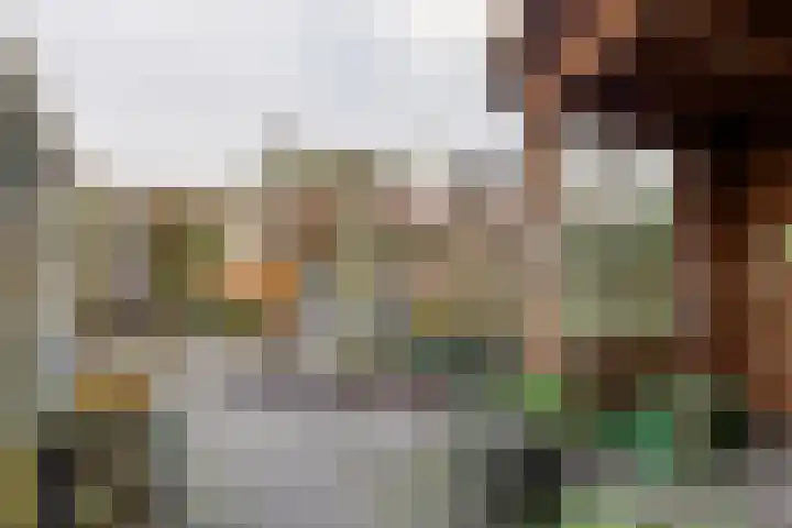 Mr. Tydemanstraat 12 Tiel thumbnail 25