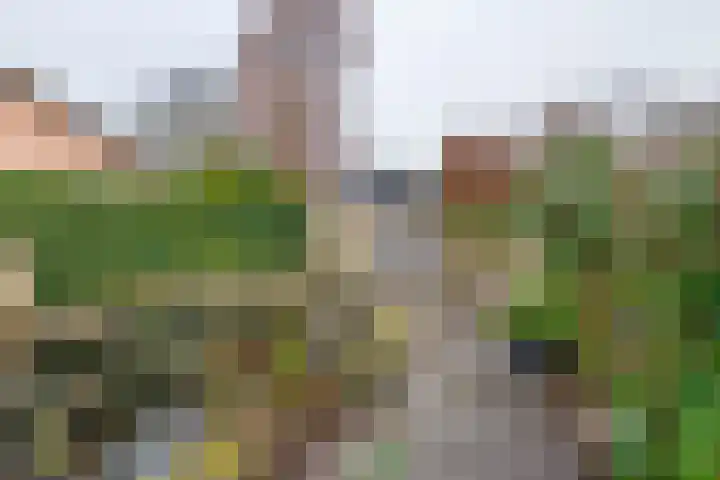 Mr. Tydemanstraat 12 Tiel thumbnail 28