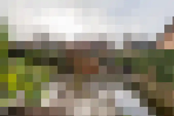 Mr. Tydemanstraat 12 Tiel thumbnail 29