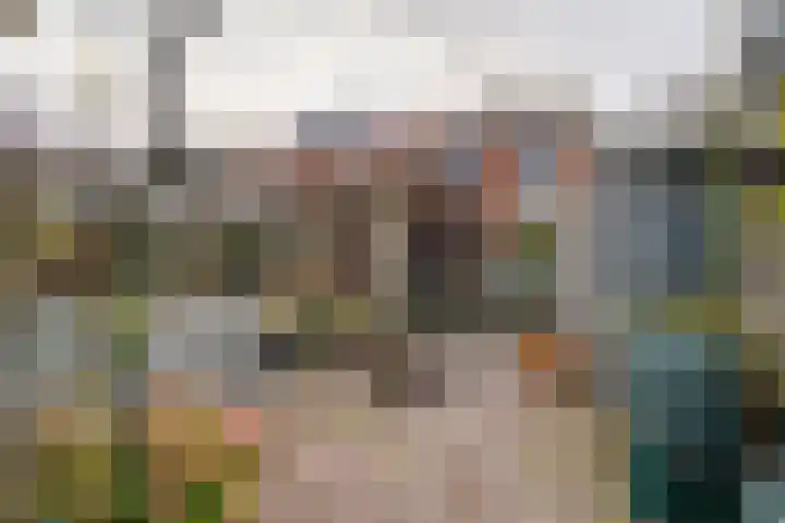 Mr. Tydemanstraat 12 Tiel thumbnail 31