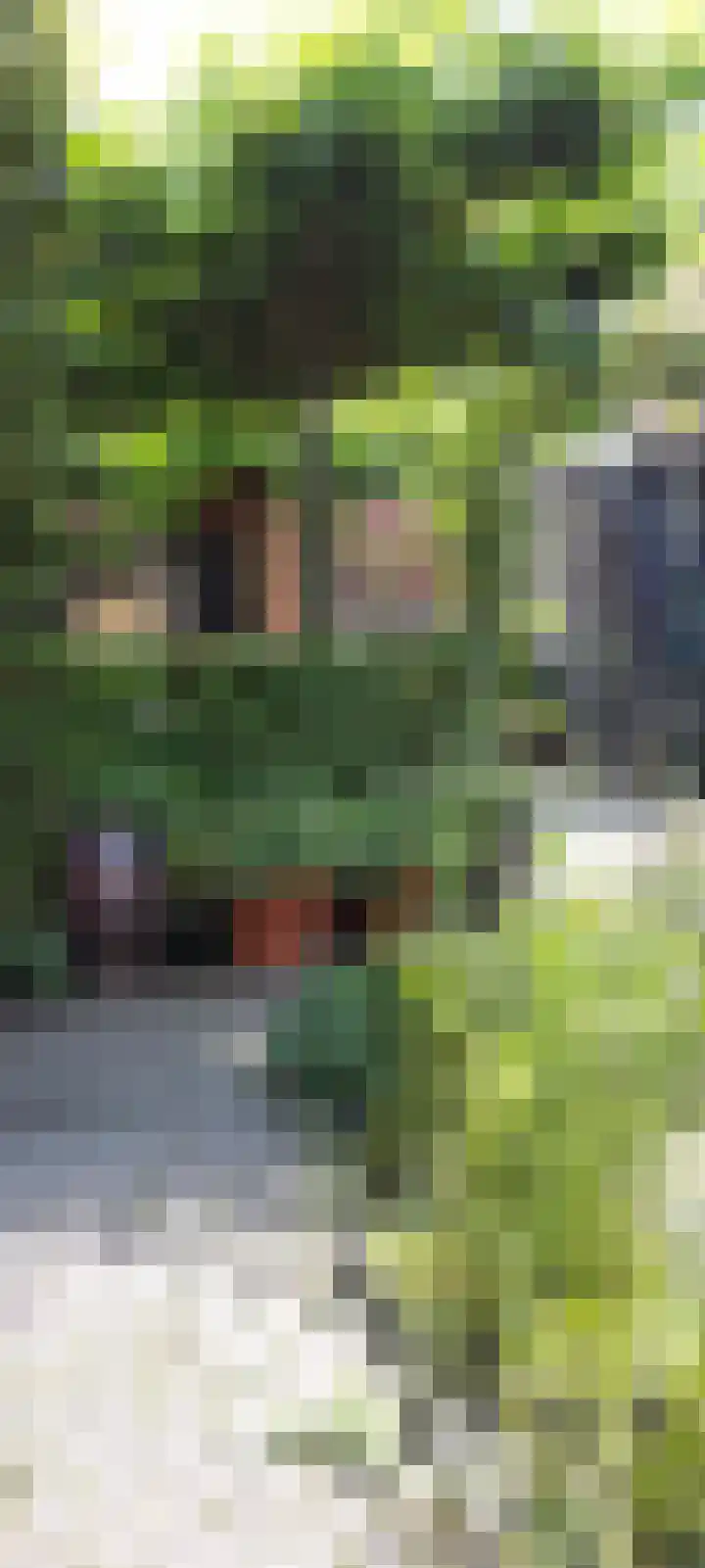Mr. Tydemanstraat 12 Tiel thumbnail 32