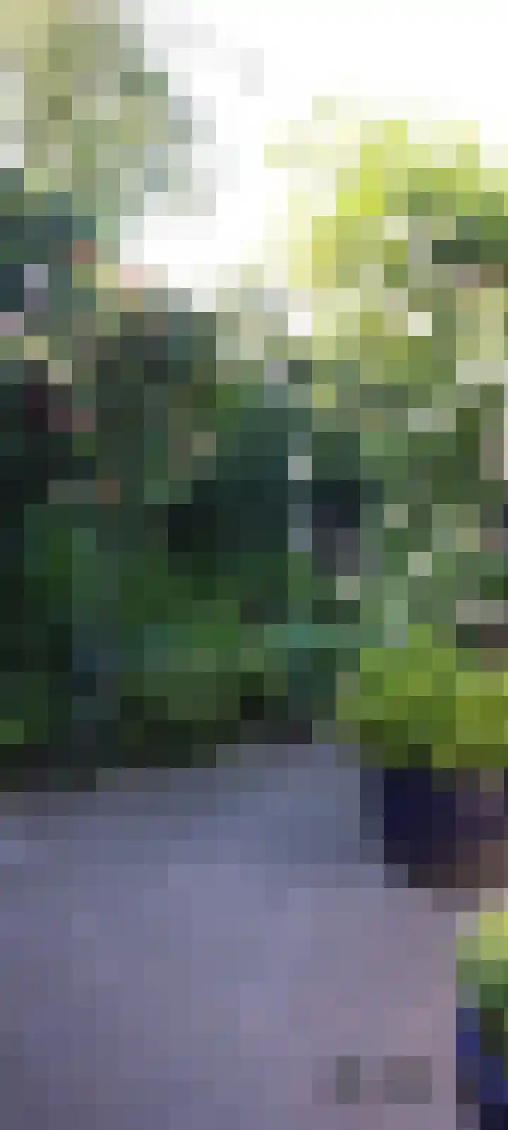 Mr. Tydemanstraat 12 Tiel thumbnail 35
