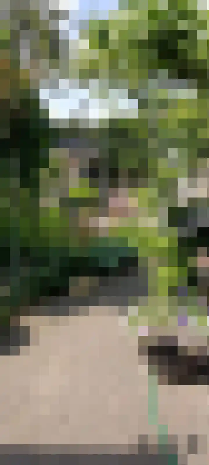Mr. Tydemanstraat 12 Tiel thumbnail 36