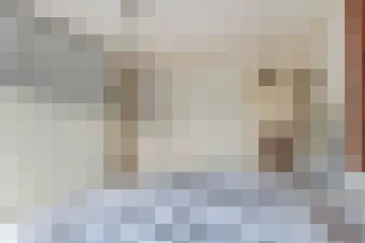 Mr. Tydemanstraat 12 Tiel thumbnail 42