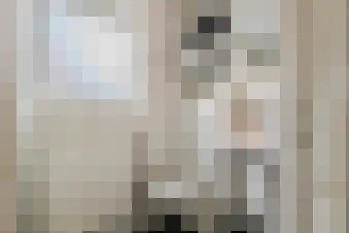 Mr. Tydemanstraat 12 Tiel thumbnail 45