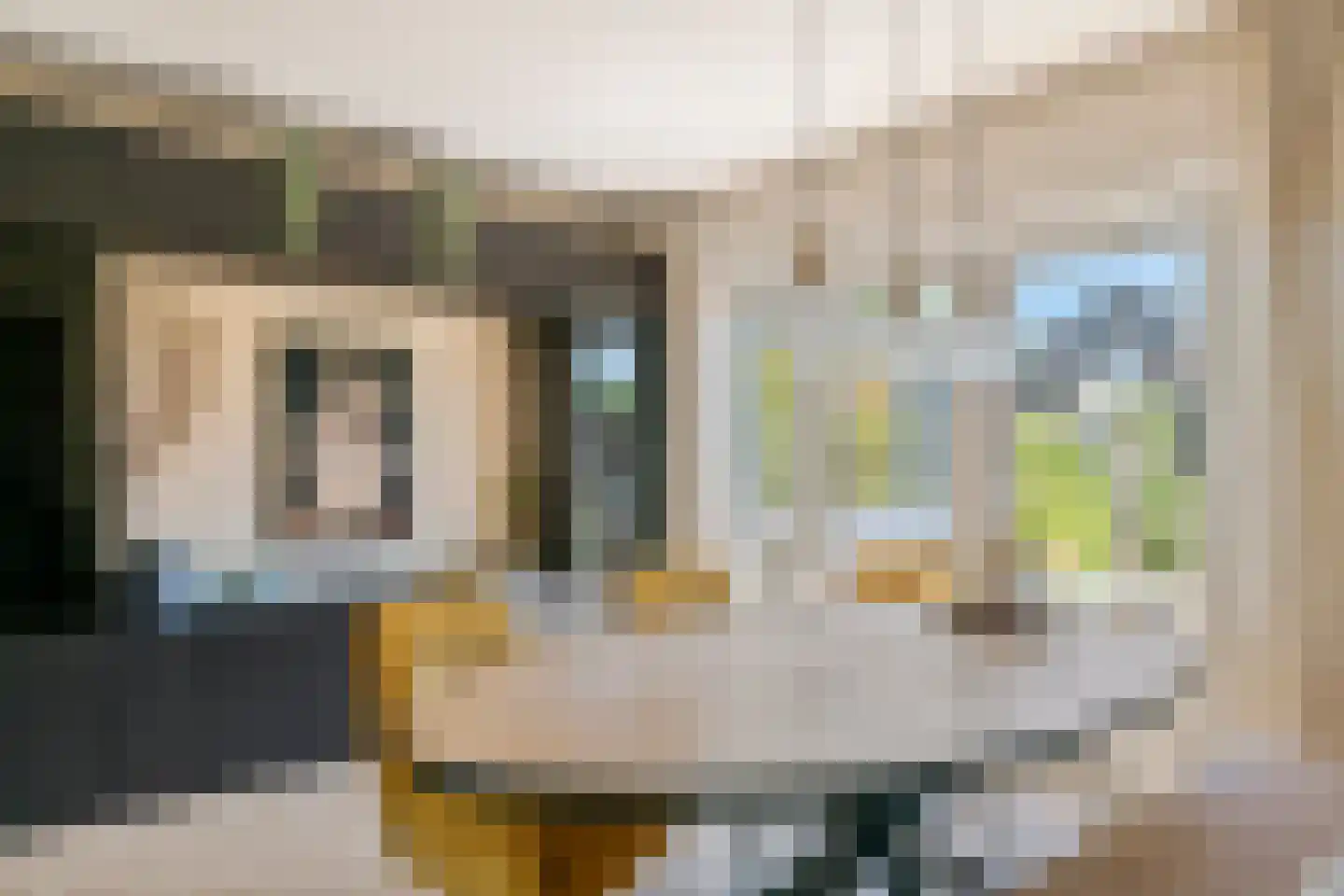 Mr. Tydemanstraat 25 Tiel thumbnail 14