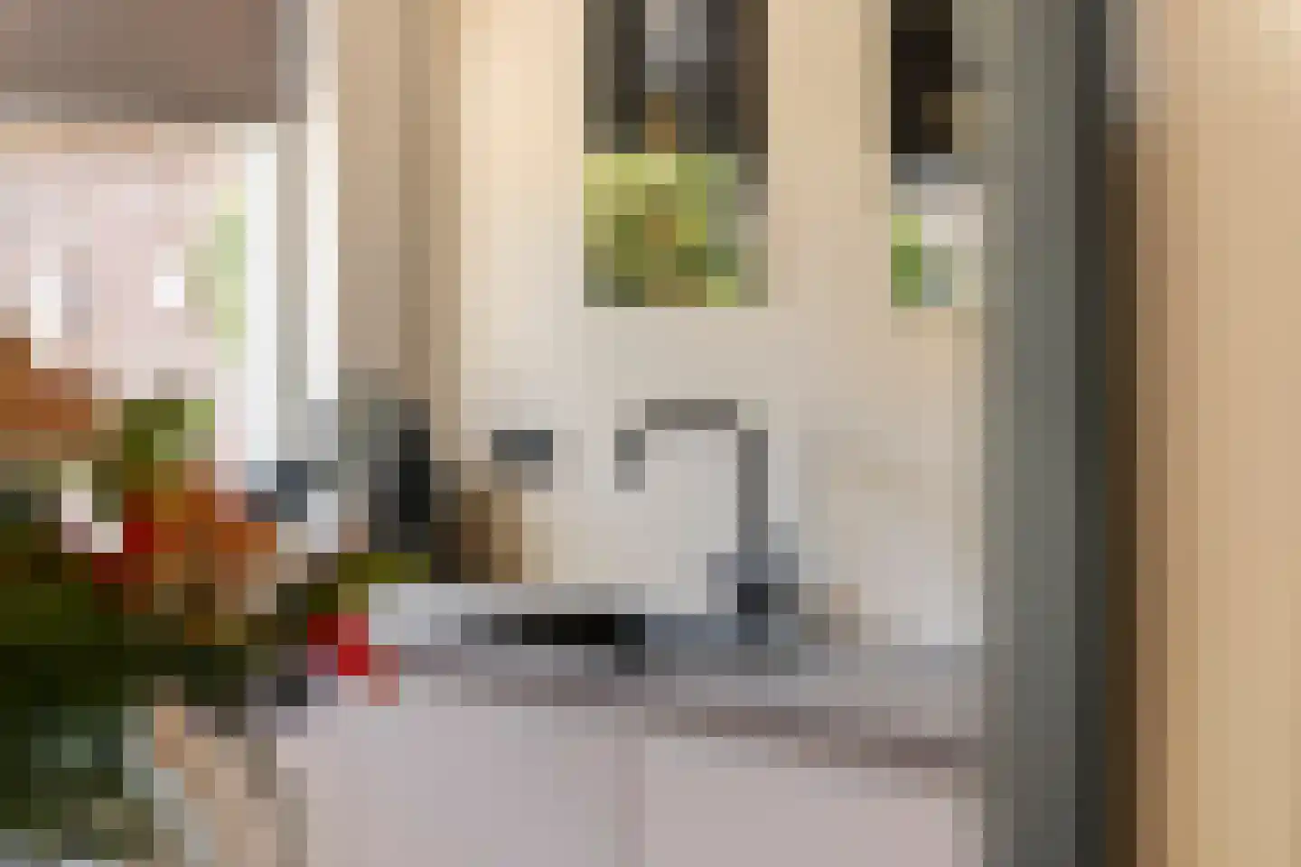 Mr. Tydemanstraat 25 Tiel thumbnail 21