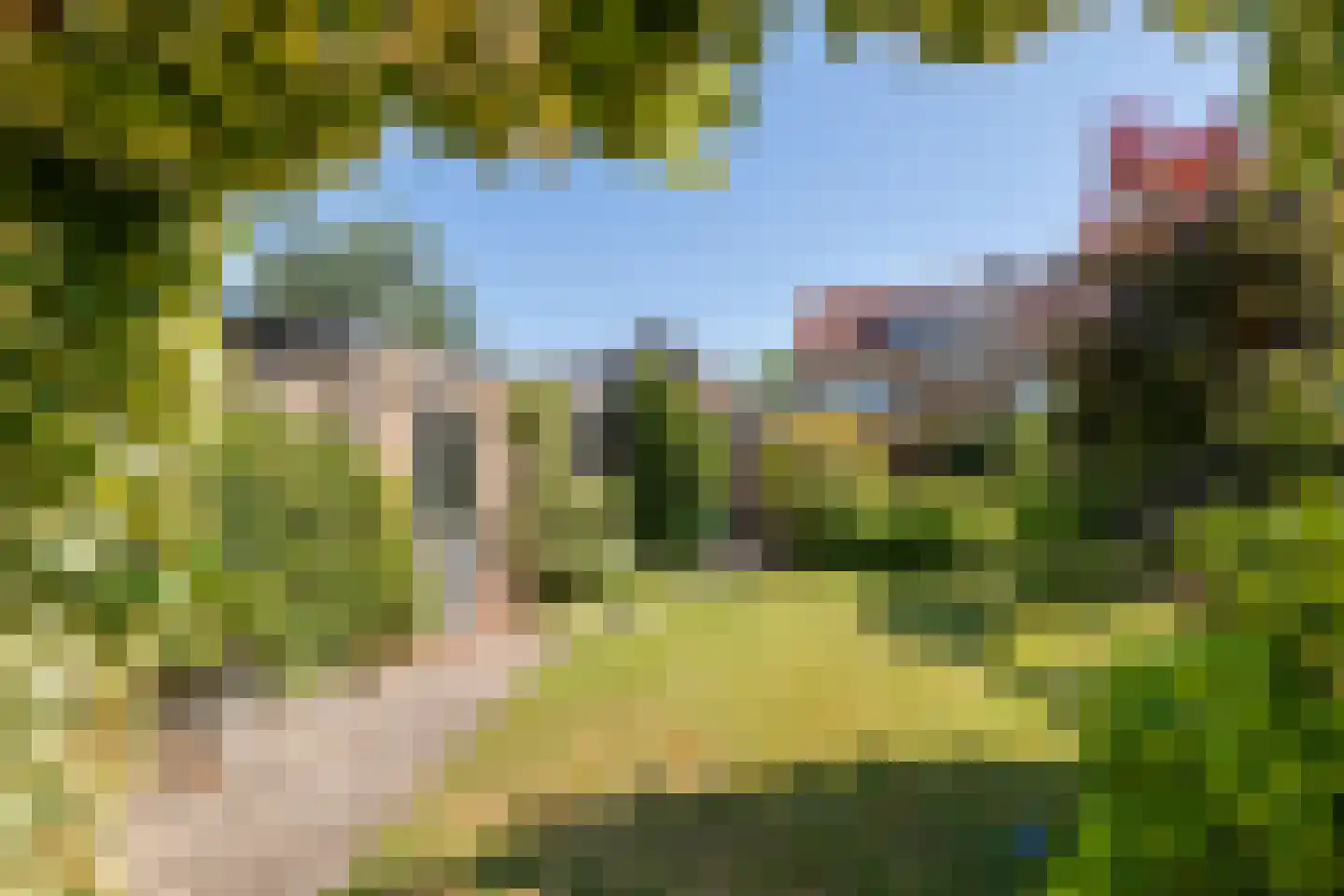 Mr. Tydemanstraat 25 Tiel thumbnail 25