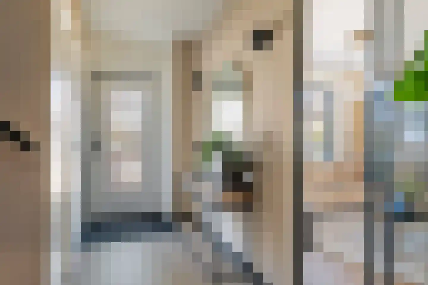 Mr. Tydemanstraat 25 Tiel thumbnail 8