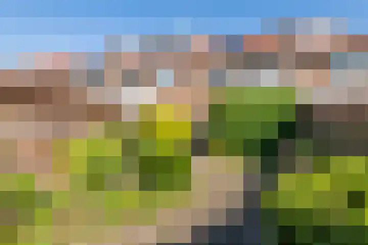 Mr. Tydemanstraat 7 Tiel thumbnail 12