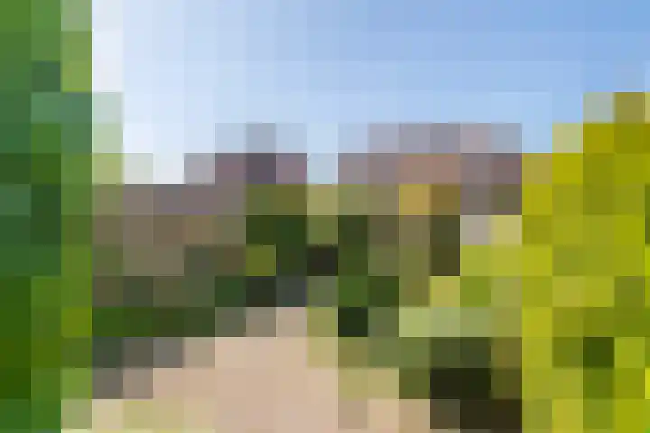 Mr. Tydemanstraat 7 Tiel thumbnail 14