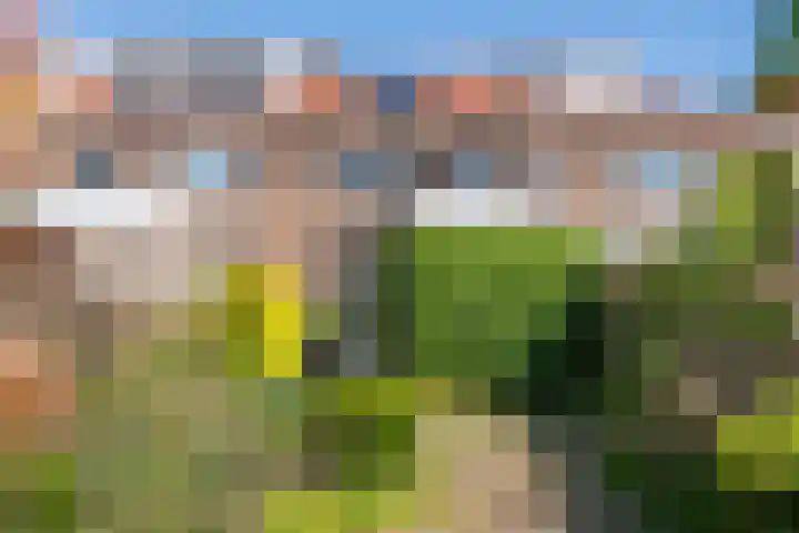 Mr. Tydemanstraat 7 Tiel thumbnail 17