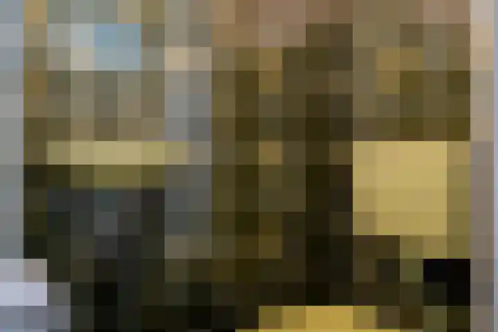 Mr. Tydemanstraat 7 Tiel thumbnail 23