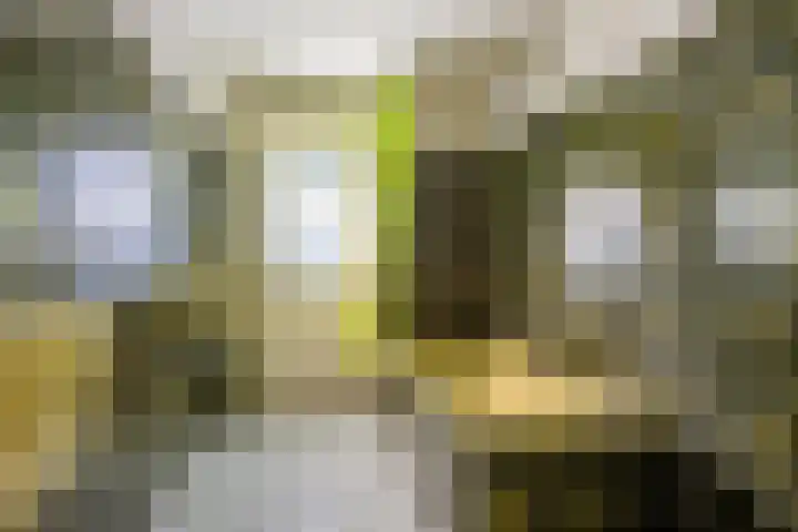 Mr. Tydemanstraat 7 Tiel thumbnail 33