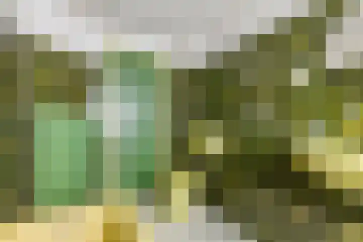 Mr. Tydemanstraat 7 Tiel thumbnail 34