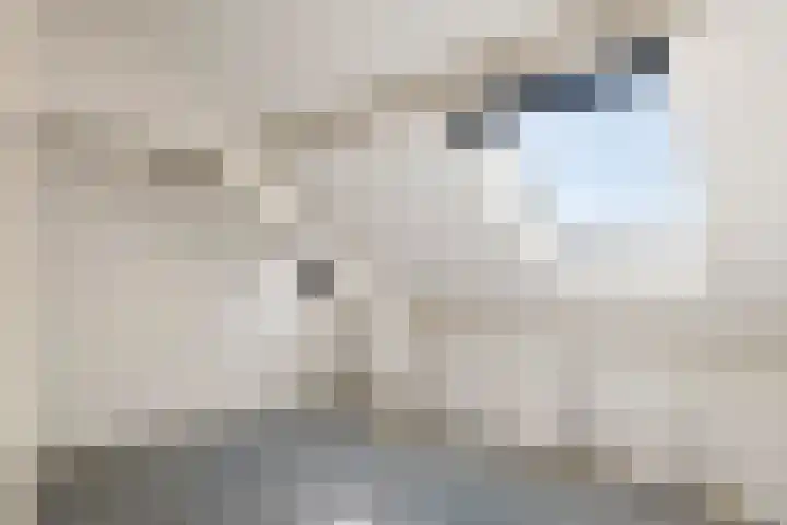 Mr. Tydemanstraat 7 Tiel thumbnail 38