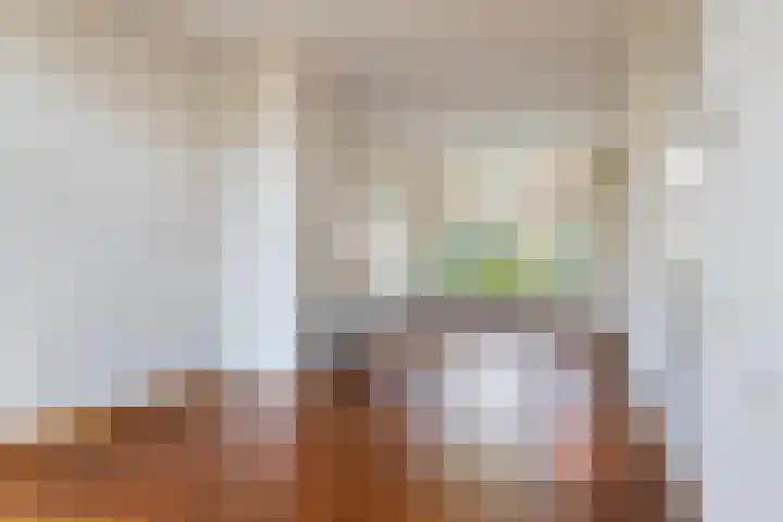 Mr. Tydemanstraat 7 Tiel thumbnail 4