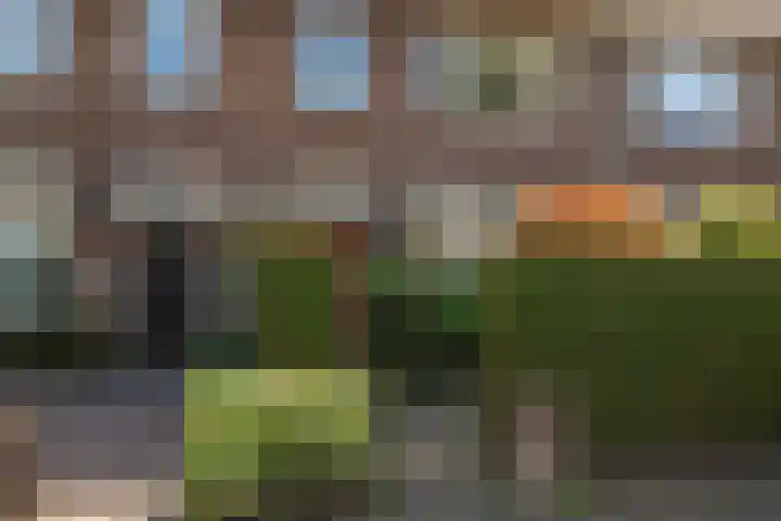 Mr. Tydemanstraat 7 Tiel thumbnail 42