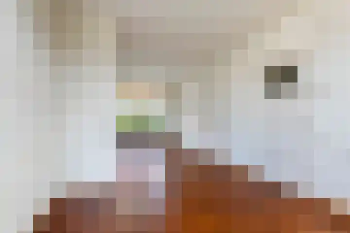 Mr. Tydemanstraat 7 Tiel thumbnail 7