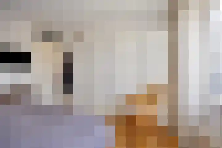 Mr. van Coothstraat 16 Veghel thumbnail 37