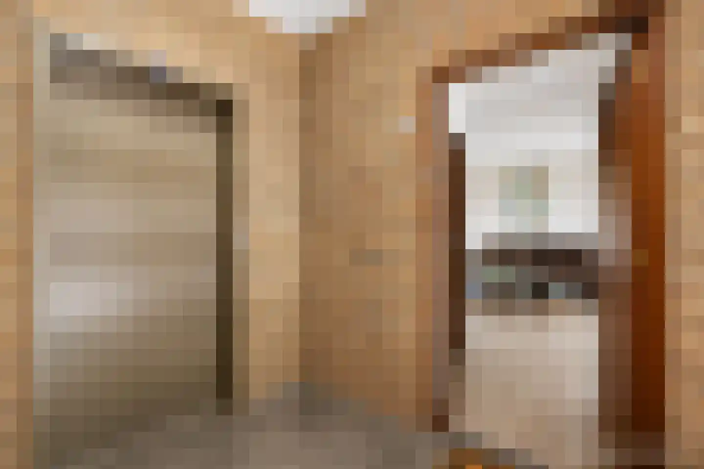 Mr. van Coothstraat 2 h Waalwijk thumbnail 7