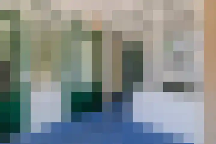 Mr. van Coothstraat 20 Veghel thumbnail 20