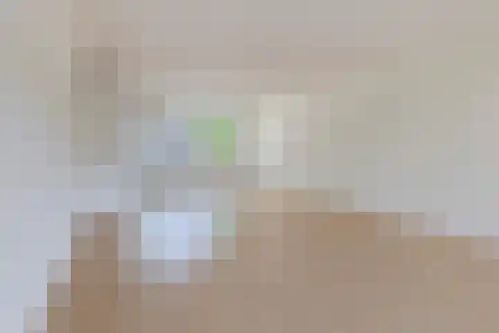 Mr. van Coothstraat 20 Veghel thumbnail 6