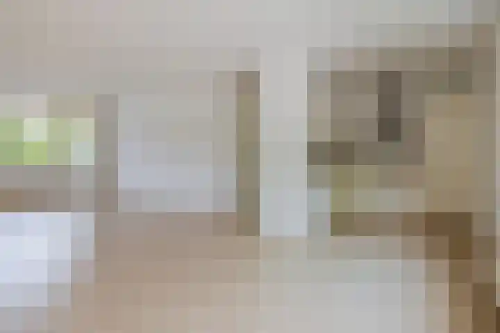 Mr. van Coothstraat 20 Veghel thumbnail 8