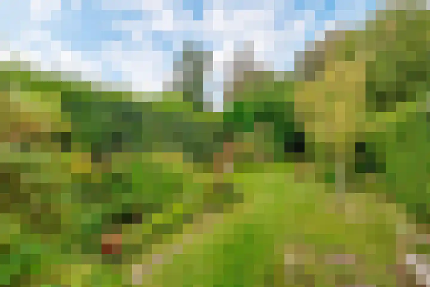 Mr. van Coothstraat 22 Waalwijk thumbnail 27