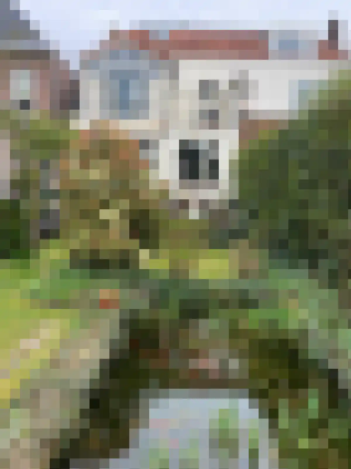 Mr. van Coothstraat 22 Waalwijk thumbnail 41