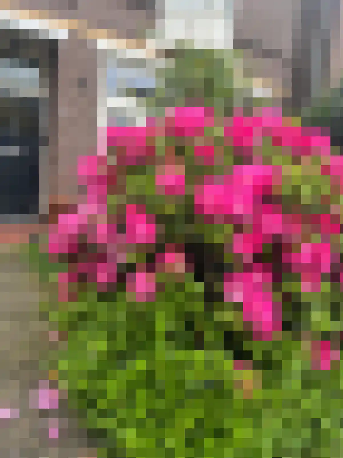Mr. van Coothstraat 22 Waalwijk thumbnail 42