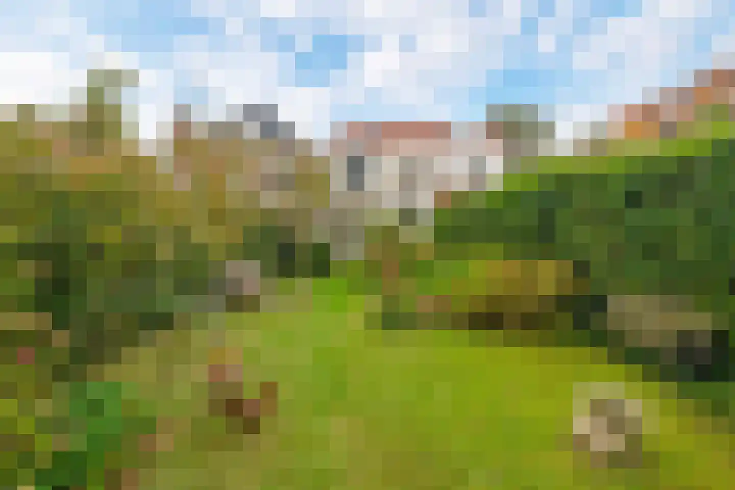 Mr. van Coothstraat 22 Waalwijk thumbnail 5