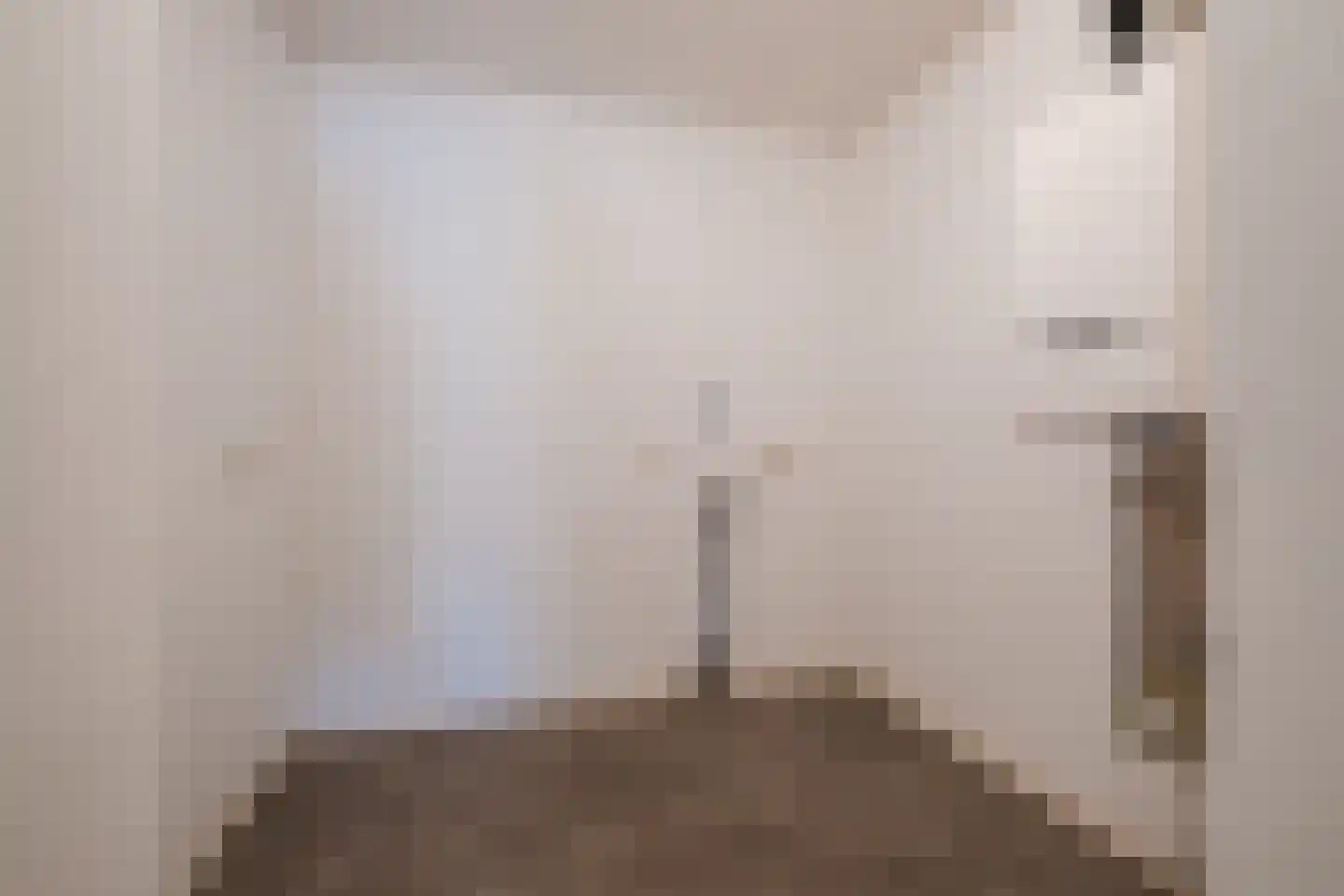 Mr. van Coothstraat 28 Veghel thumbnail 23