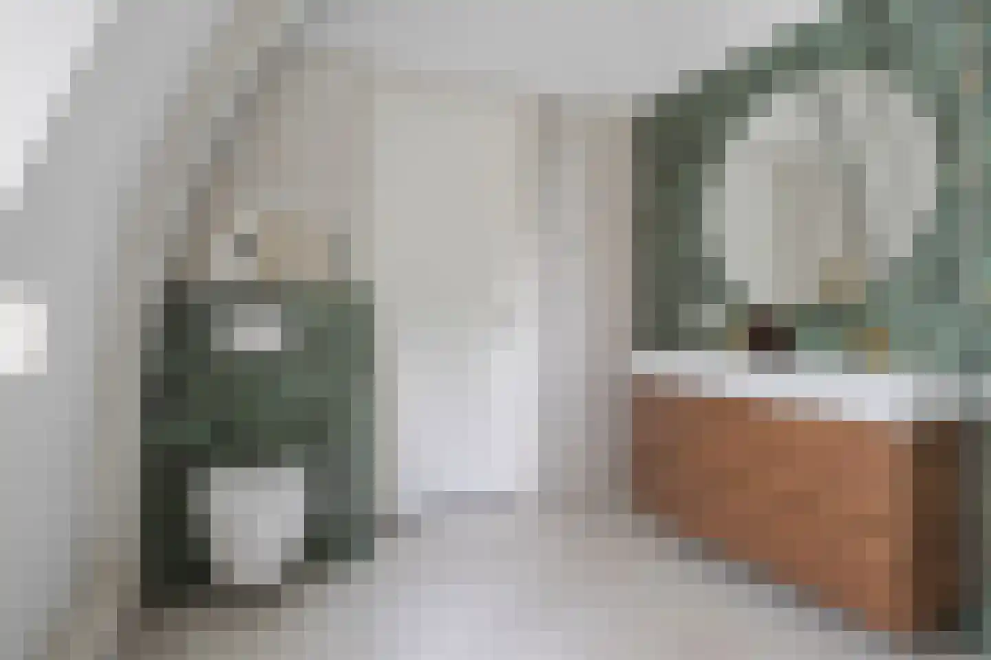 Mr. van Coothstraat 31 e Waalwijk thumbnail 20