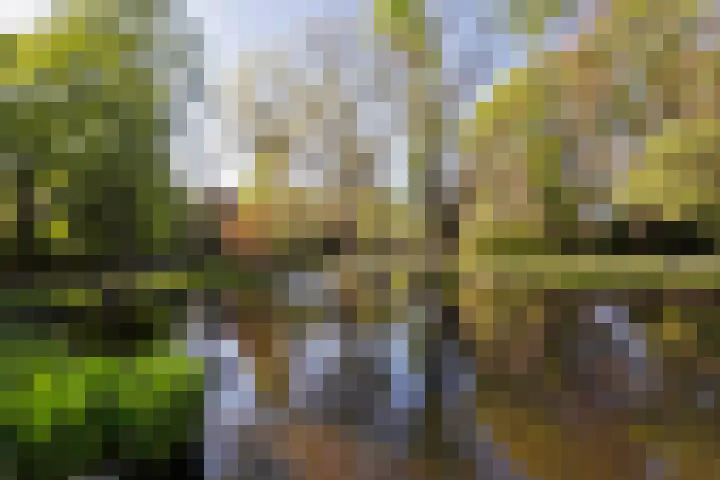 Mr. van Coothstraat 31 e Waalwijk thumbnail 30