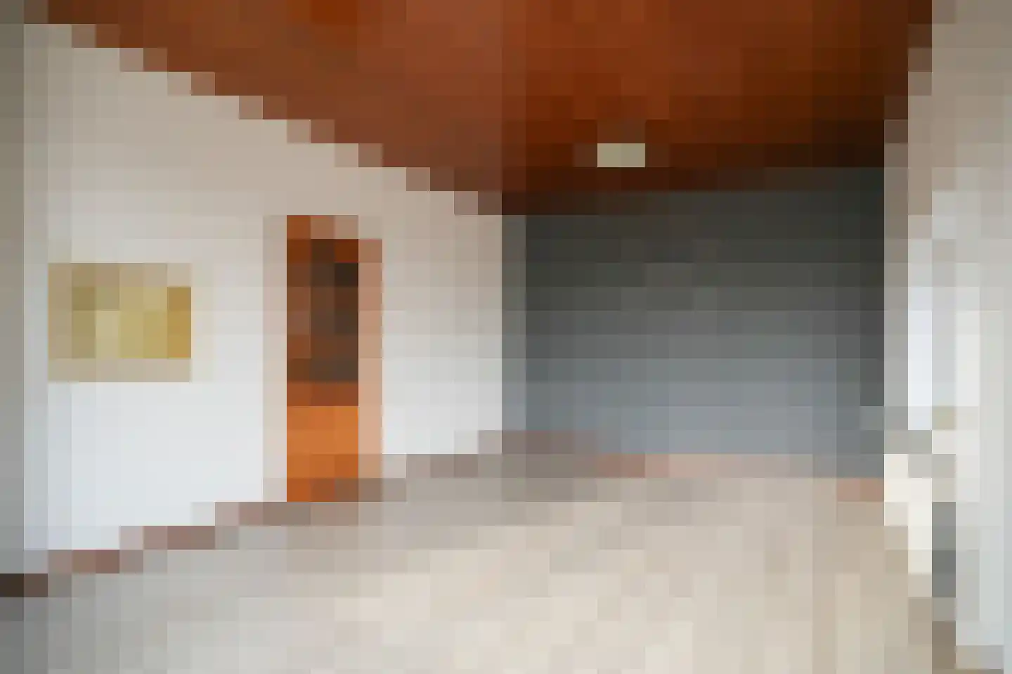 Mr. van Coothstraat 51 Druten thumbnail 6