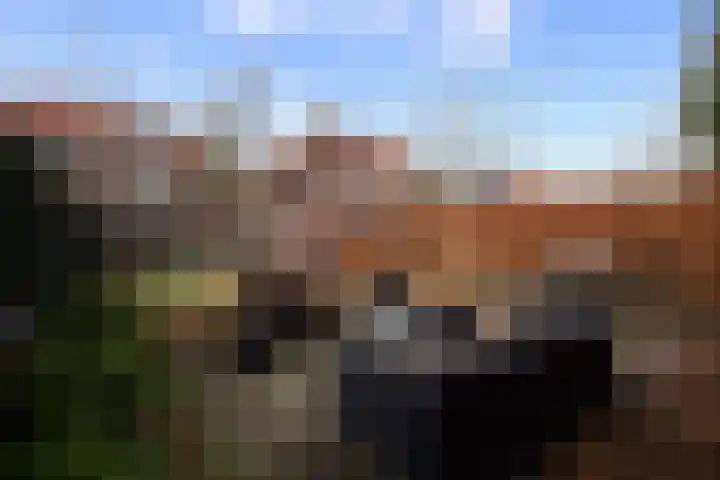 Mr. van Coothstraat 53 c Waalwijk thumbnail 31