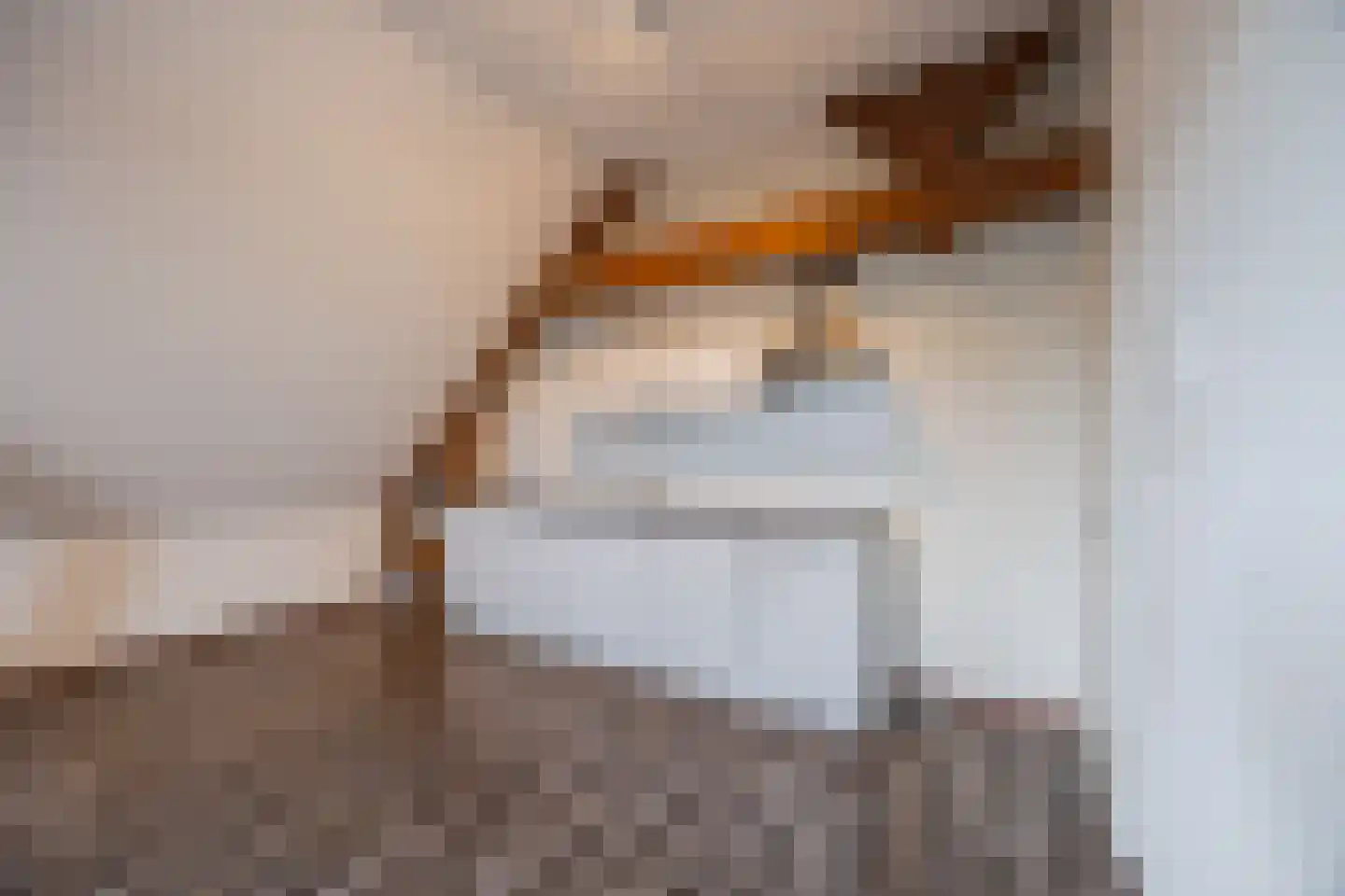 Mr. van Coothstraat 55 27 Waalwijk thumbnail 23