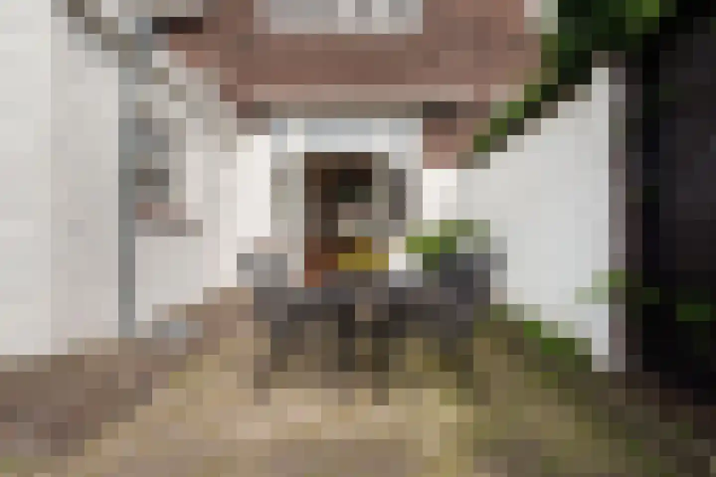 Mr. van Coothstraat 78 Waalwijk thumbnail 21