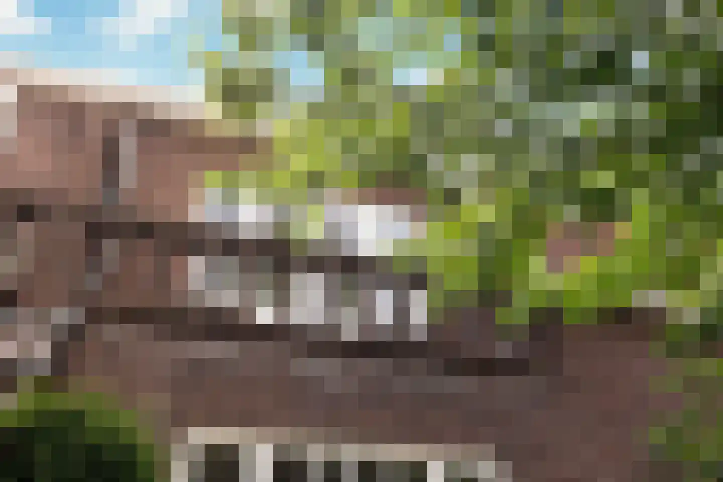 Mr. van Coothstraat 78 Waalwijk thumbnail 6