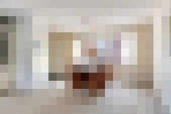 Mr. van Coothstraat 8 Veghel thumbnail 15